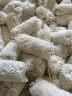 Cylinderrensebørster