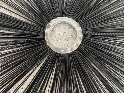 Re-generede børster